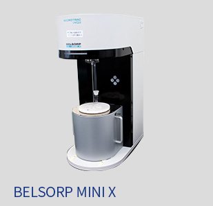 BELSORP