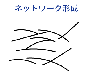 ネットワーク形成